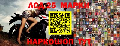 apvp Заволжье