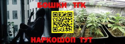 твердый Заводоуковск