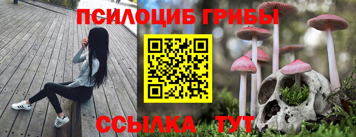 Псилоцибиновые грибы Psilocybe  цены   Мариинск  Галлюциногенные грибы Cubensis  Вход с VPN 