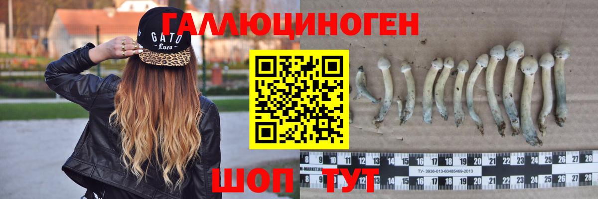 Галлюциногенные грибы ЛСД Мариинск